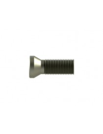 Z. -R- TORNILLO PLAQUITA-K- TORX VIDALAR M-4    X10/11